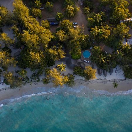 Mikadi Beach Camp&Backpackers Vandrarhem Dar es Salaam Exteriör bild