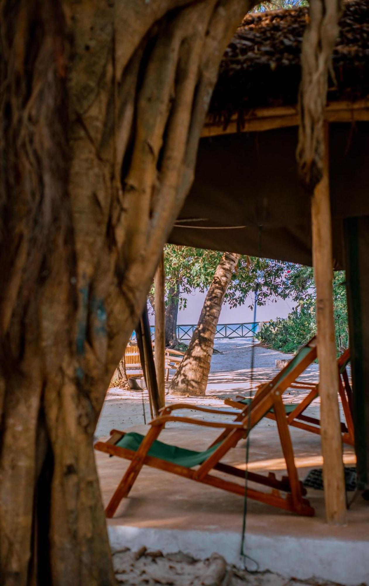 Mikadi Beach Camp&Backpackers Vandrarhem Dar es Salaam Exteriör bild