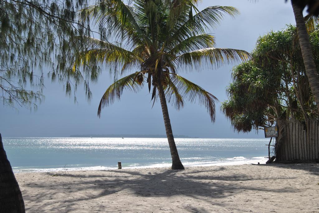 Mikadi Beach Camp&Backpackers Vandrarhem Dar es Salaam Exteriör bild